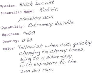 Species: Black Locust
Scientific Name:  Robinia 
        pseudoacacia
Durability: Extremely durable
Hardness: 1700
Density: 0.69
Color: Yellowish when cut, quickly        changing to cherry tones,         aging to a silver-gray        with exposure to the         sun and rain.